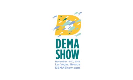 Dema Show - Las Vegas 2018
